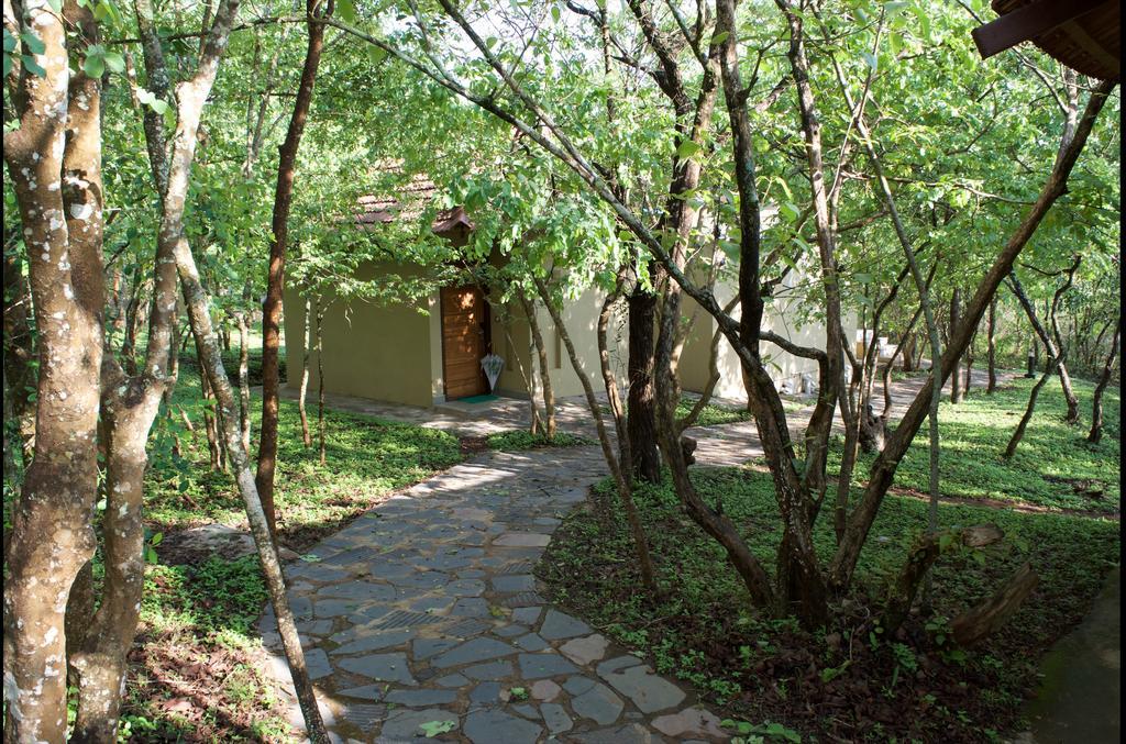The Windflower Jungle Resort & Spa, Bandipur Exterior photo