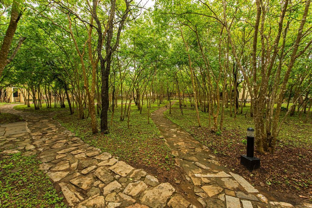 The Windflower Jungle Resort & Spa, Bandipur Exterior photo